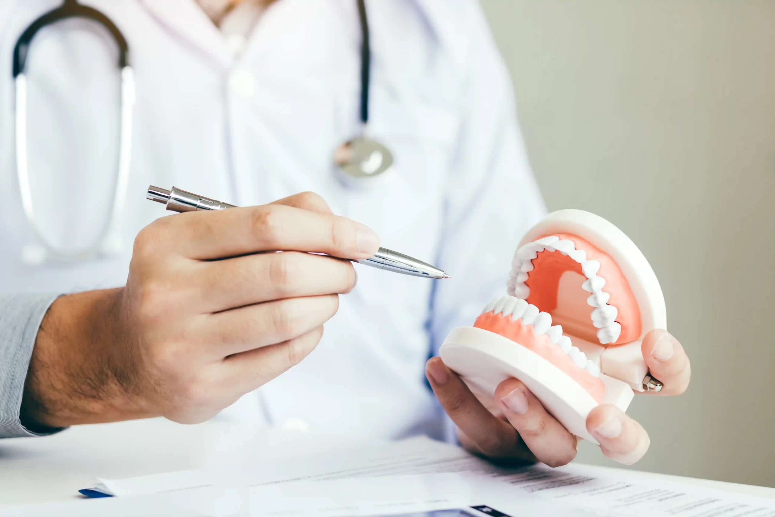 Dental professional explaining oral care with a tooth model